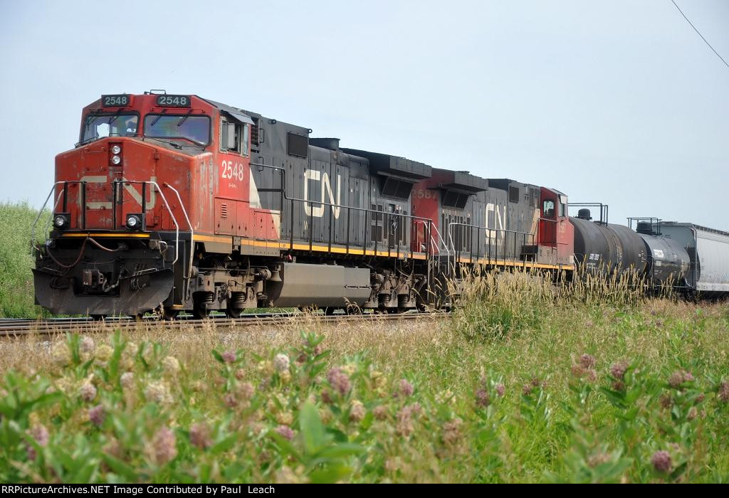 Tied down northbound manifest waits in the siding